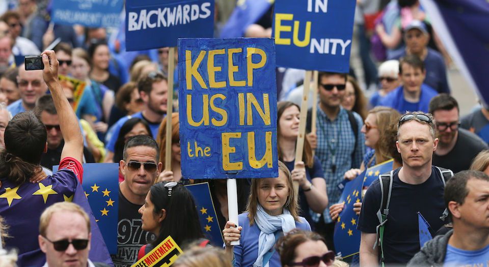 Remainers, please rein in your petulance