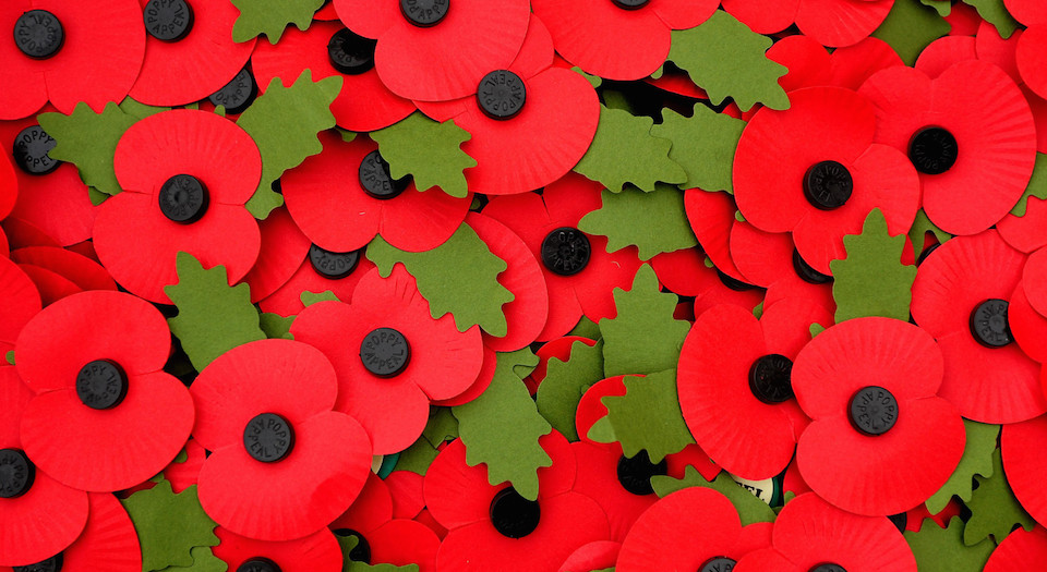 The intolerance of poppymania