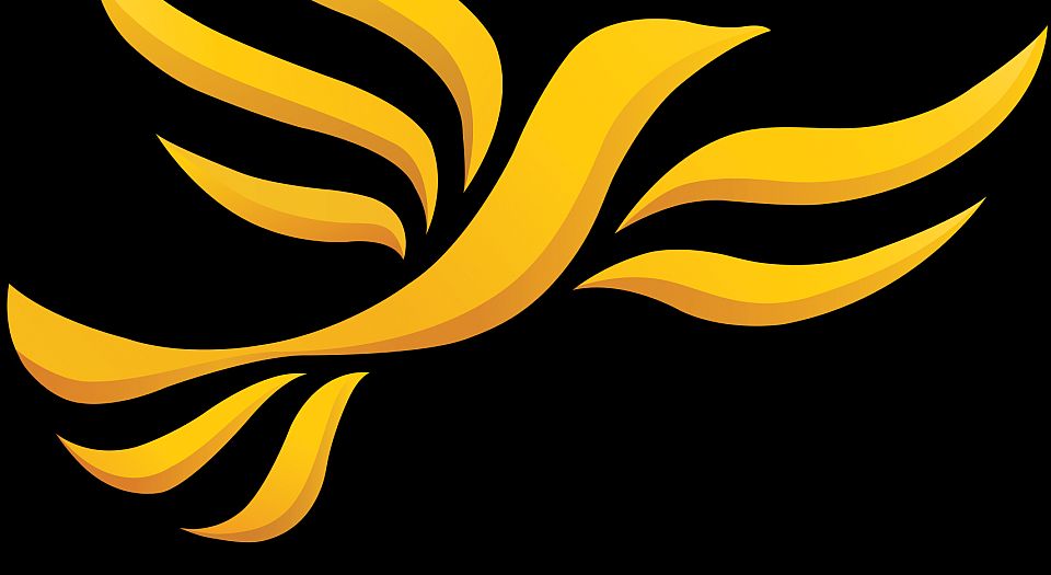 The Lib Dems: an ideas-lite oligarchy