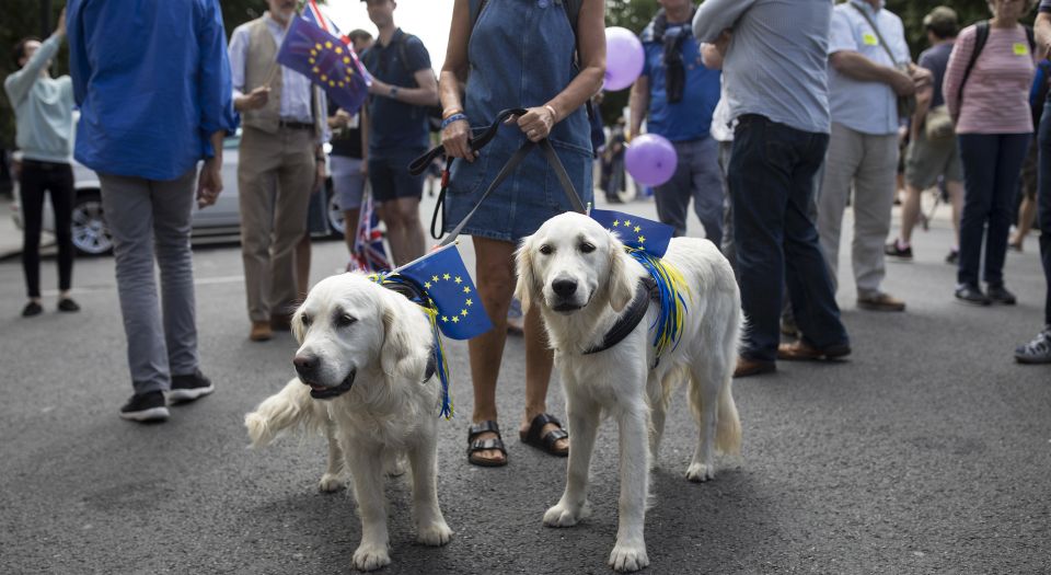 The ‘people’s vote’ march: a middle-class joke