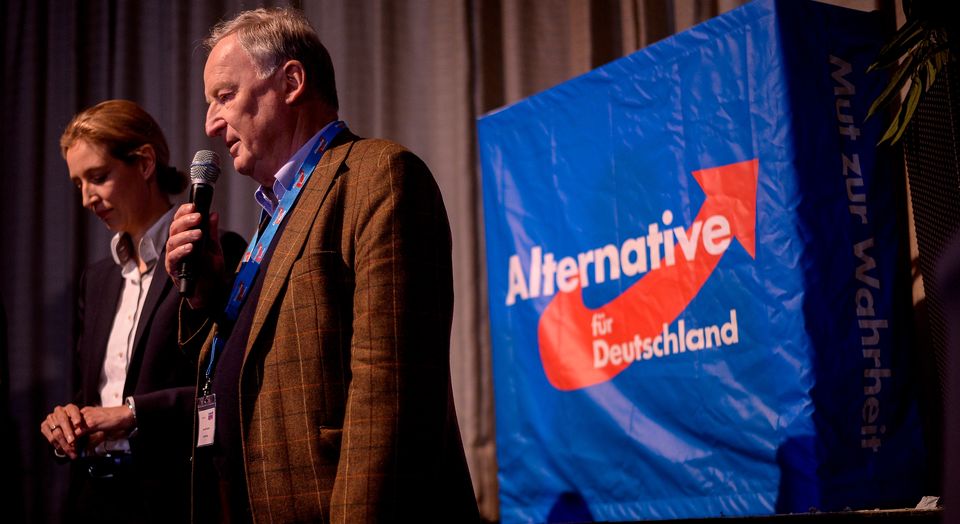 The rise and fall of the AfD