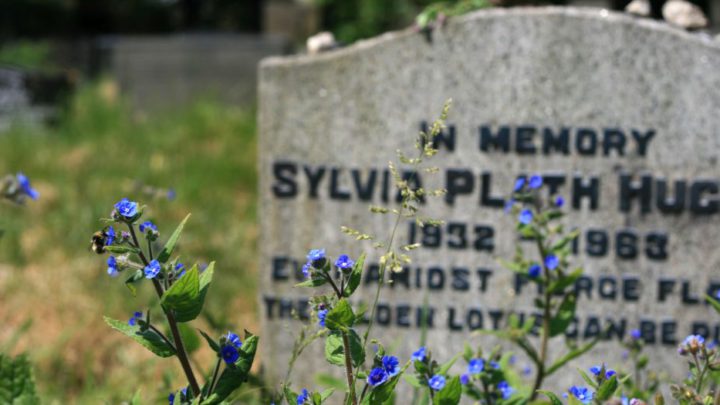 The poetry and the pain