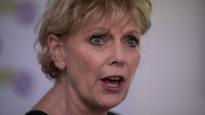 ‘This is not a victory for the Brexit Party’