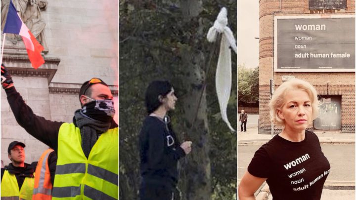 <em>spiked</em>’s heroes of 2018