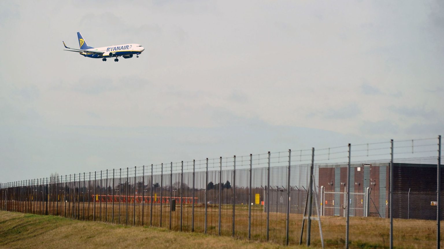 Solidarity with the Stansted 15