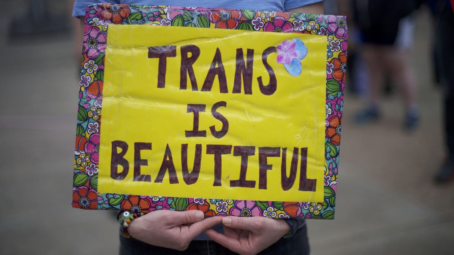 <em>Irreversible Damage</em>: the trans threat to girls