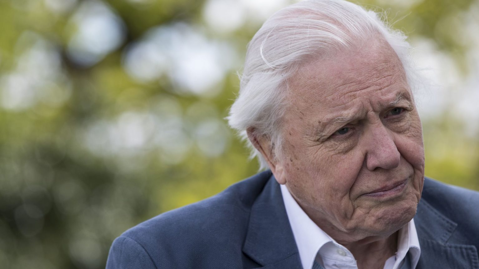 David Attenborough pulls a Widdecombe