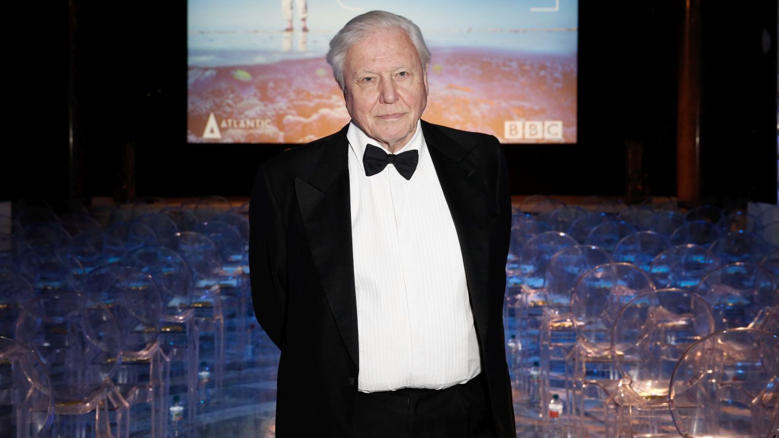 David Attenborough: upper-class warrior