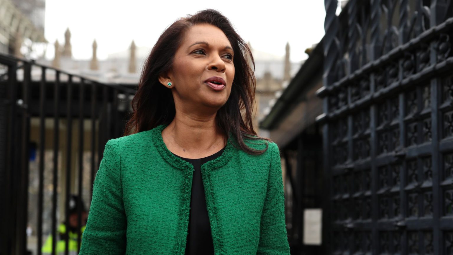 Gina Miller vs The People – again