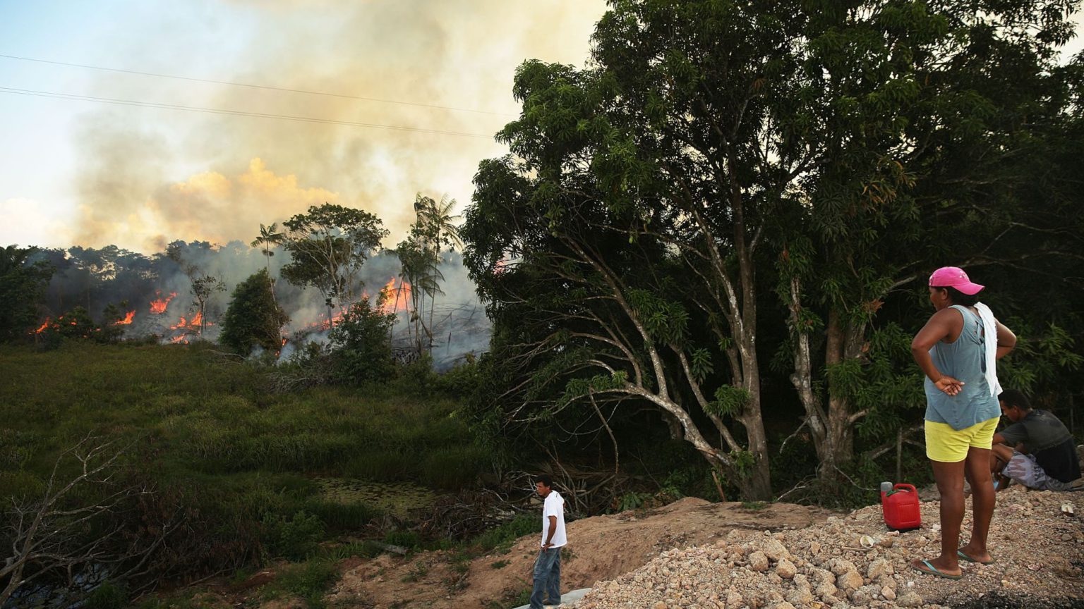 Why shouldn’t Brazilians burn down trees?