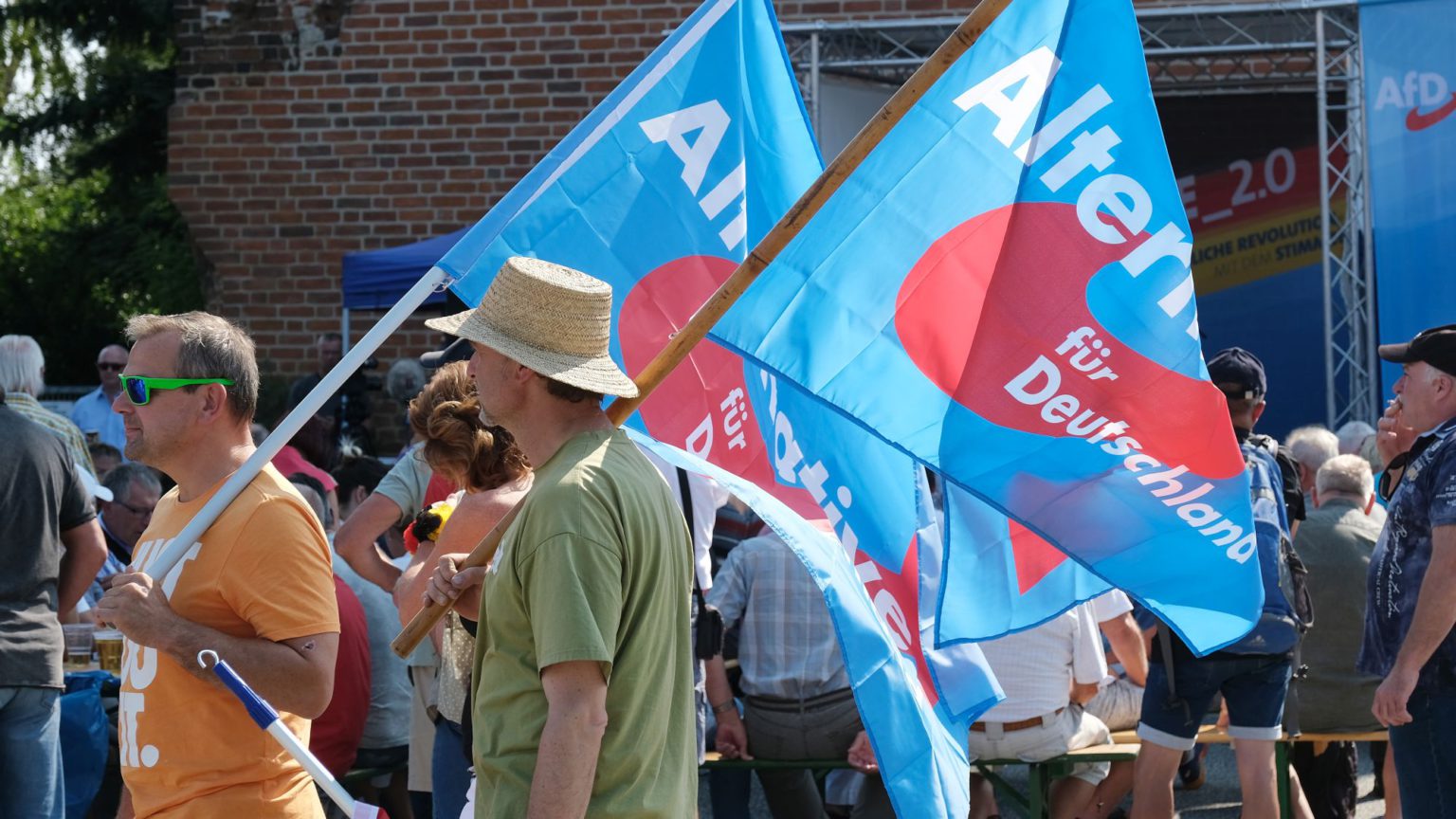 The rise of the <em>AfD</em>