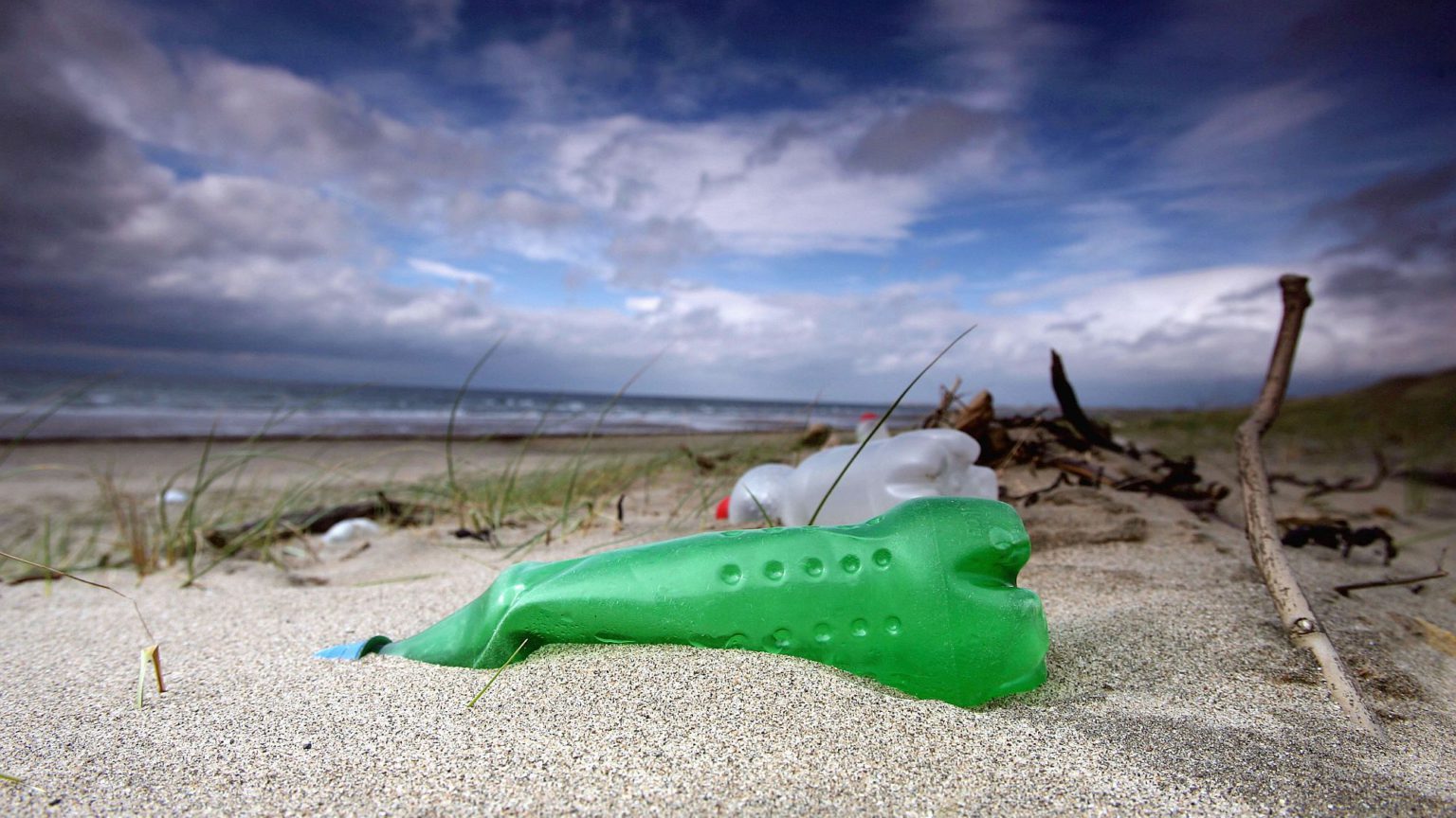 Nature is not just for environmentalists