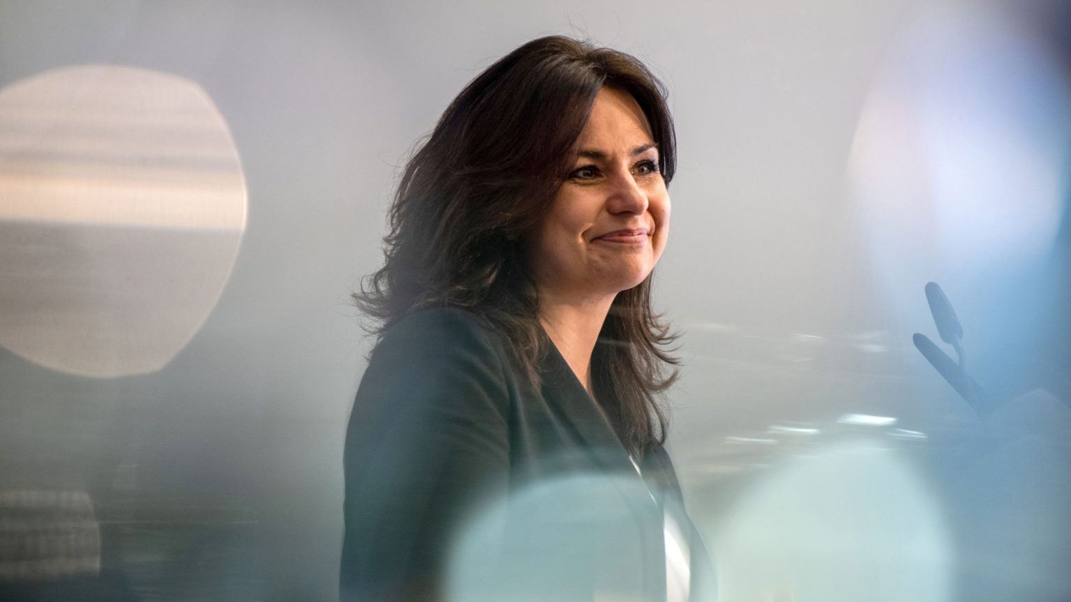 Heidi Allen: political fraudster