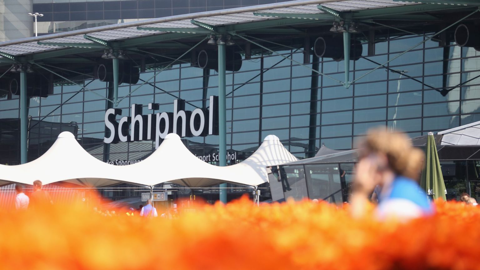 Schiphol man and the idiocy of media Remoaners