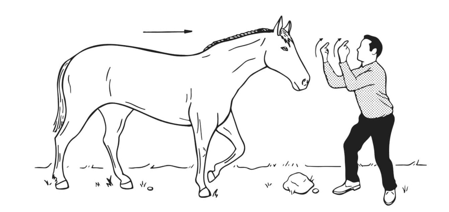 36 CFR §2.16(f) makes it a federal crime to make an unreasonable noise or gesture to a passing horse.