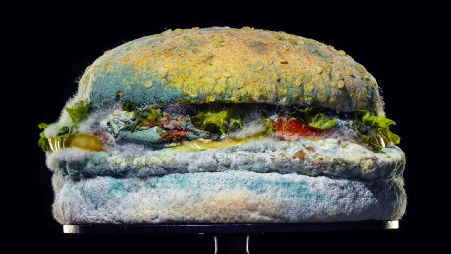 Why Burger King’s ‘Mouldy Whopper’ ad is so annoying