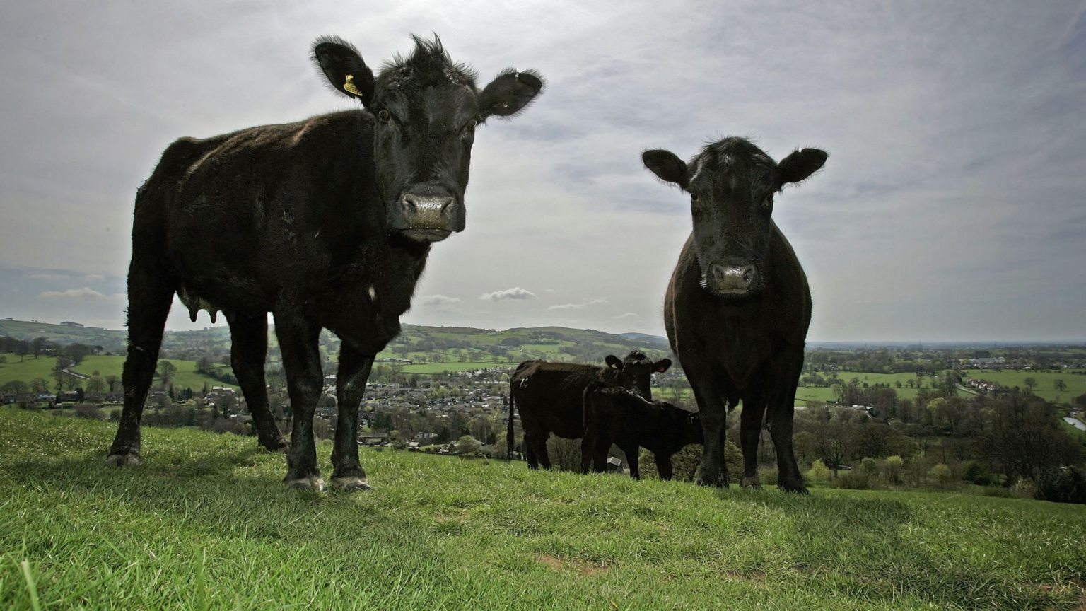 Is the countryside racist?