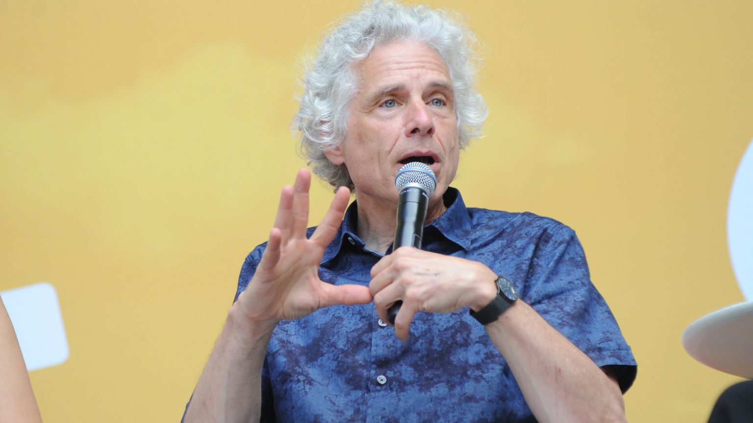 Steven Pinker won’t be cancelled – but you could be