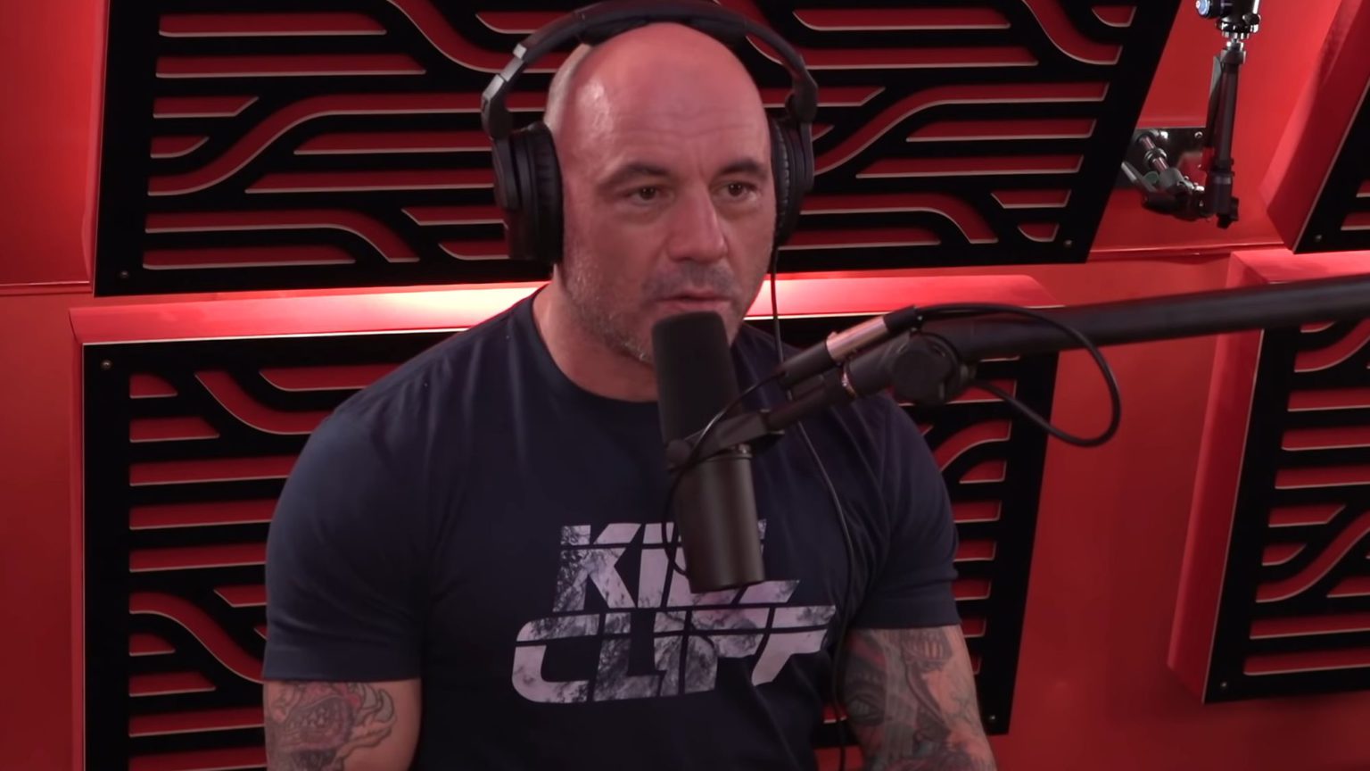 Joe Rogan is not a racist