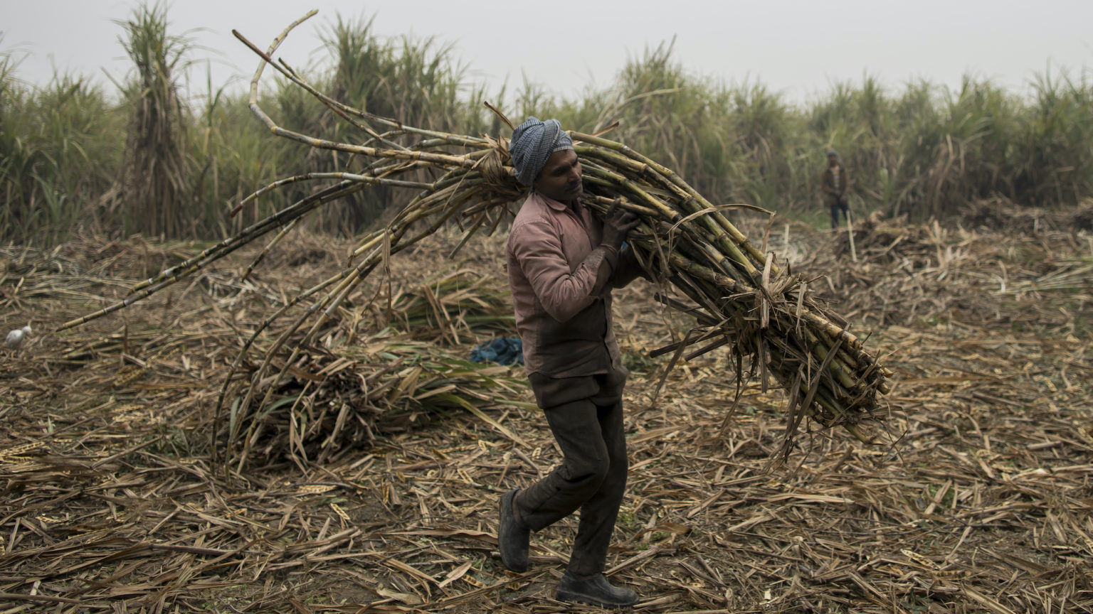 The Indian government is failing farmers