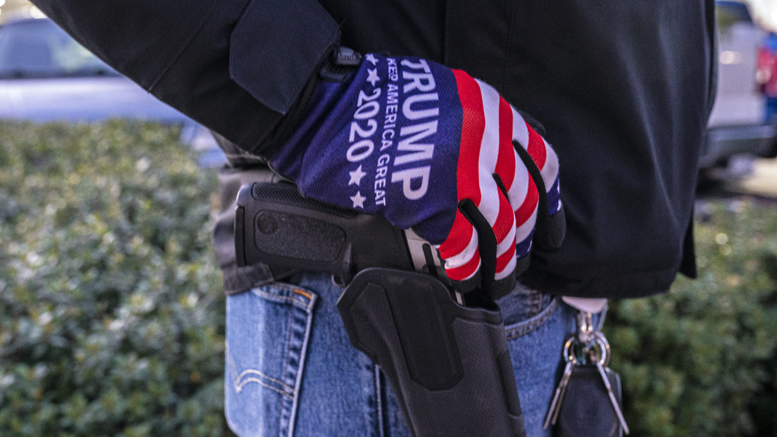 Disarming the deplorables