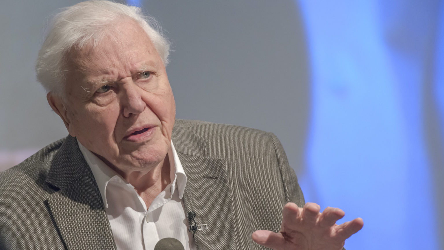 The anti-humanism of David Attenborough