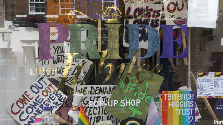 Stonewall should call off the pronoun police