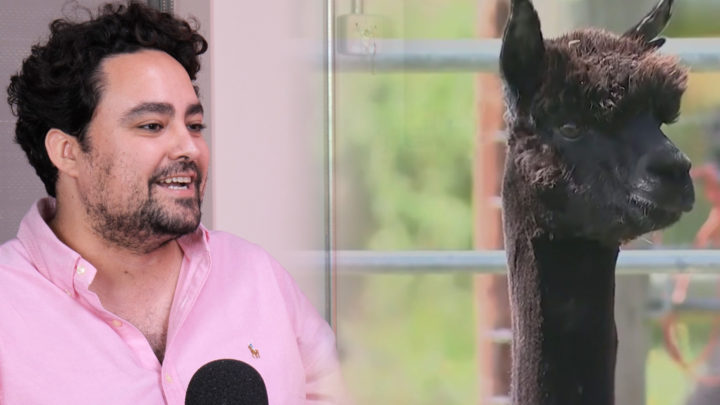 Does Geronimo have to die?