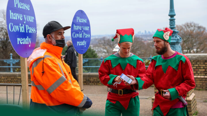 Another year on plague island