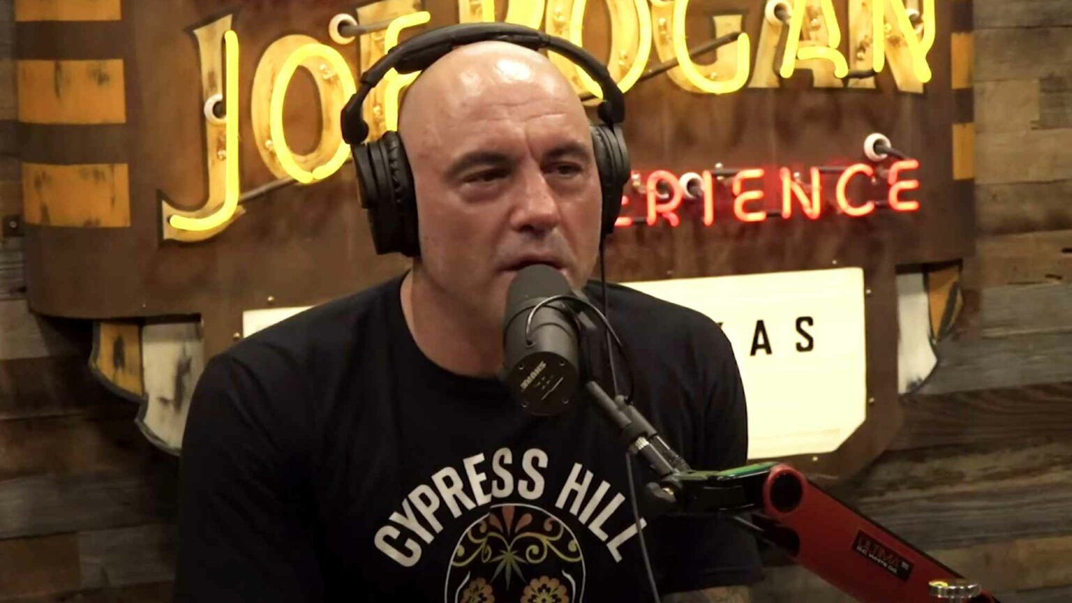 Why they hate Joe Rogan