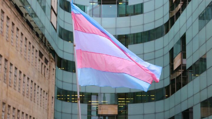 Did a sex offender really expose ‘her penis’?