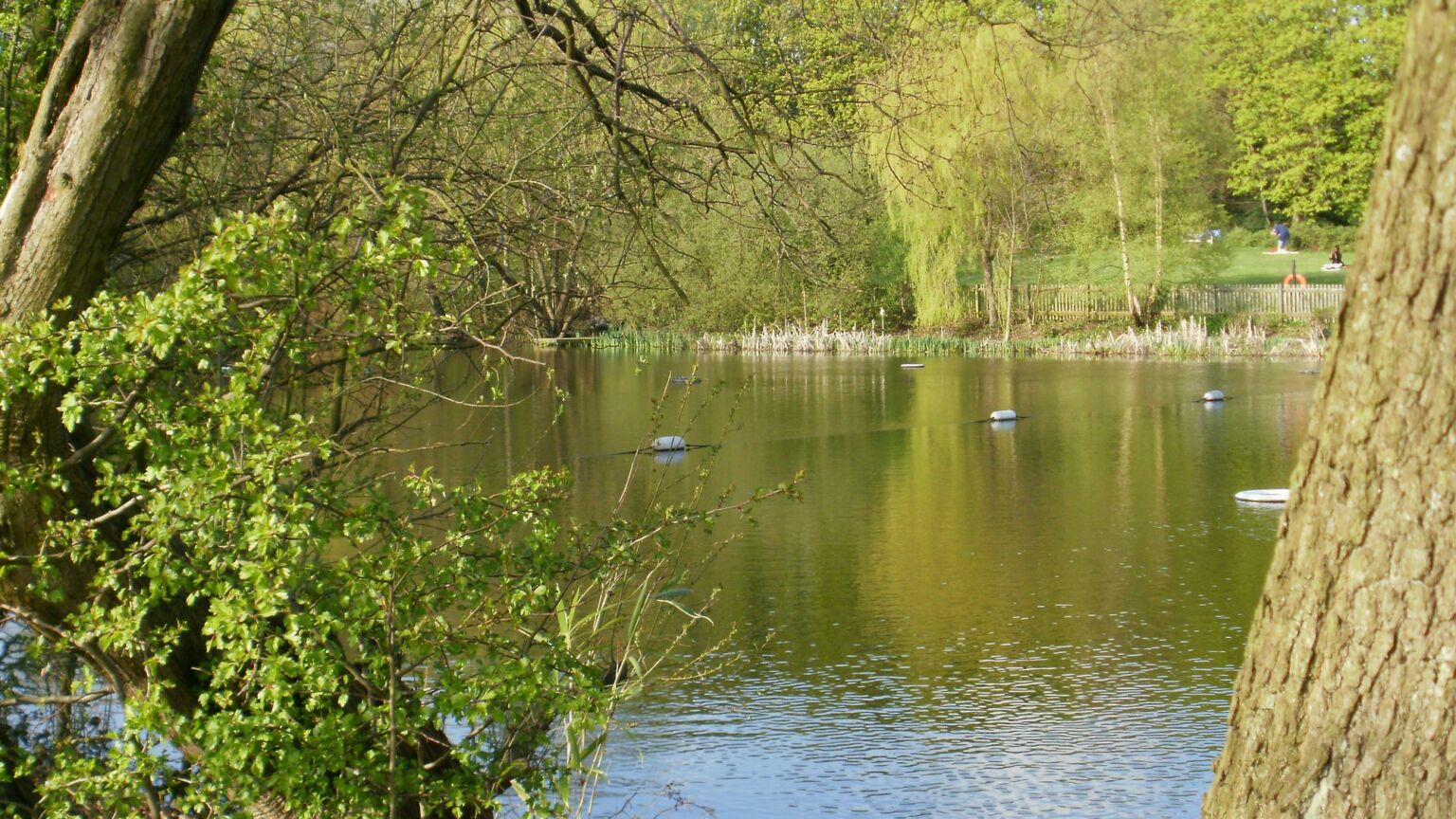 Hands off the Hampstead ladies’ pond