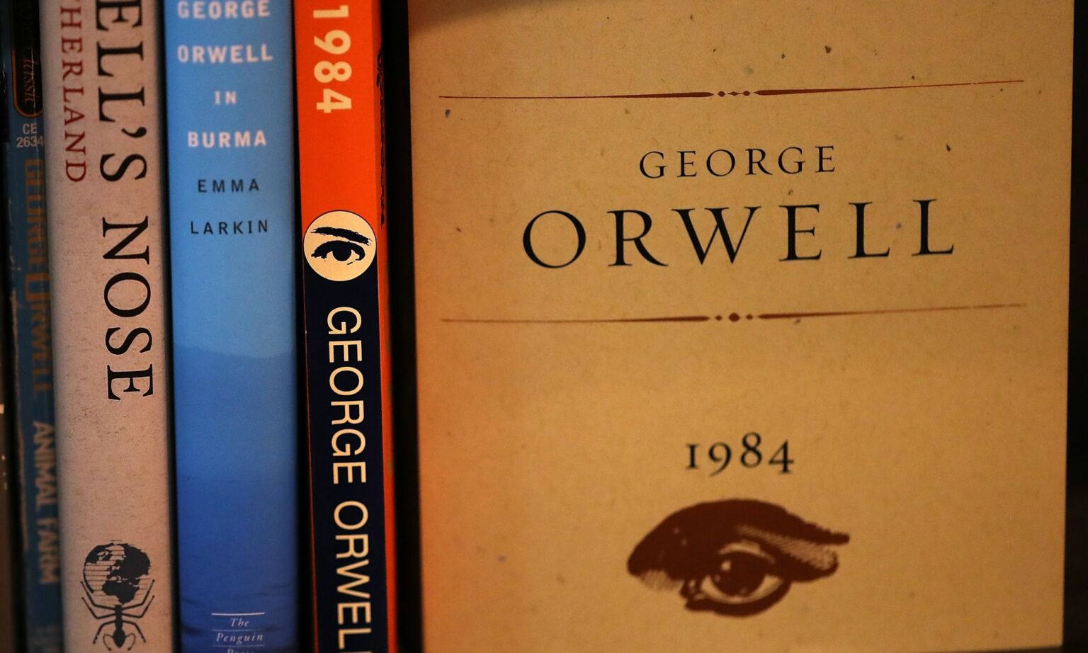 Why Orwell matters