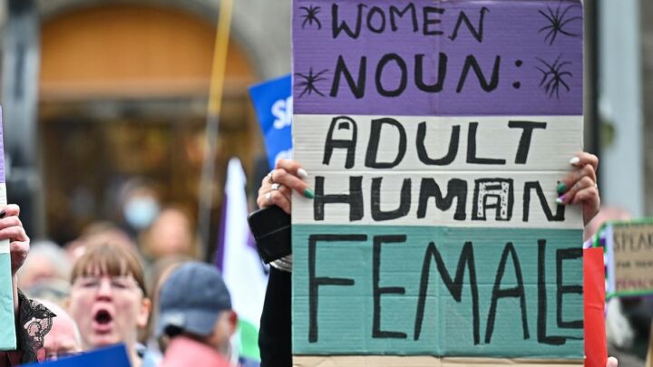 How TERF Island took on America’s woke empire