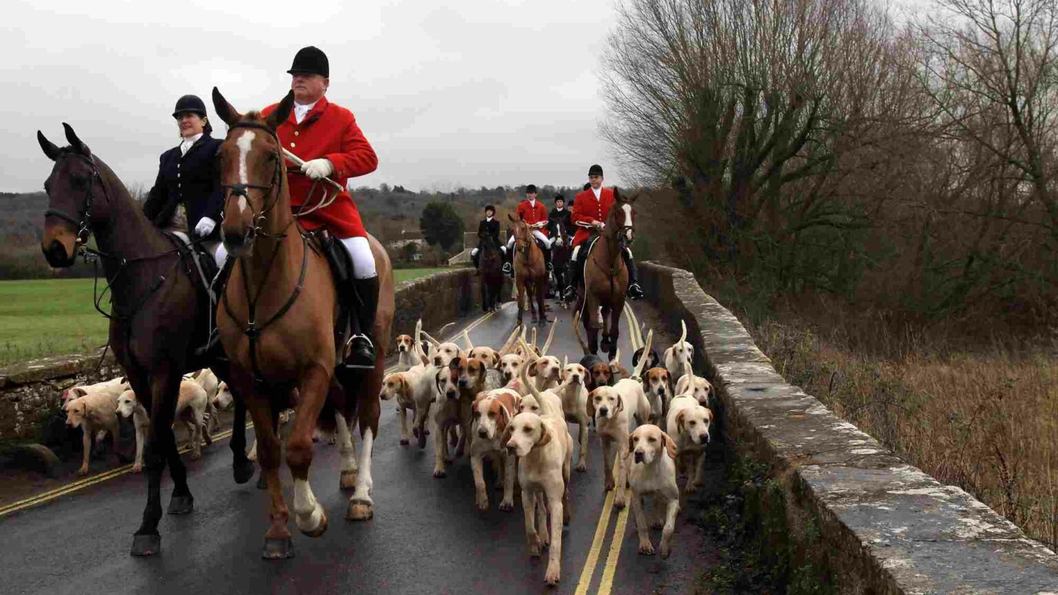 Labour’s war on foxhunting is an affront to liberty