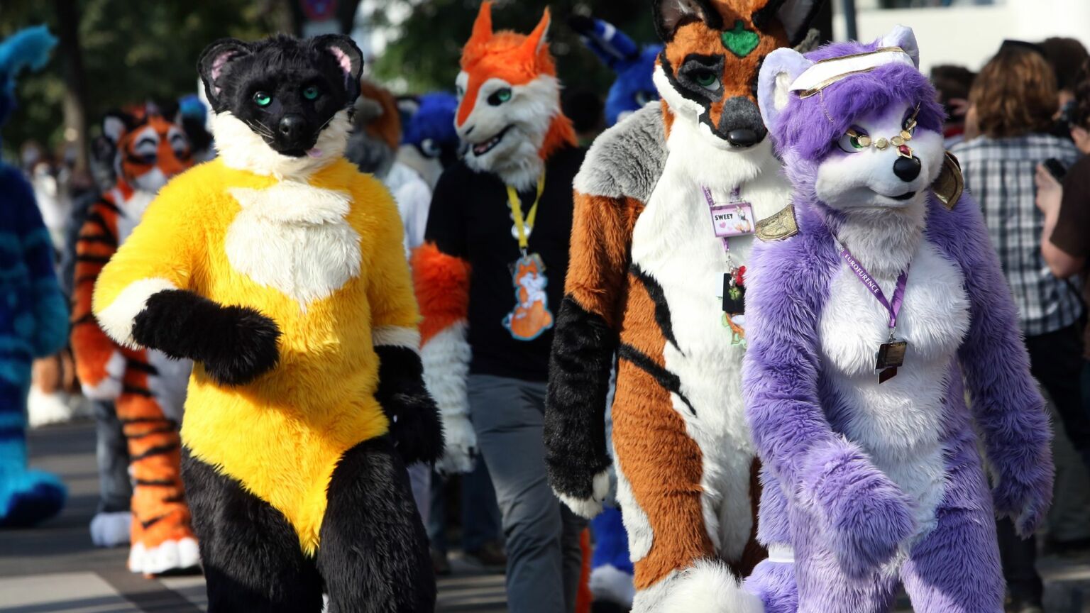 Furries vs feminists: a new nadir for the trans lobby