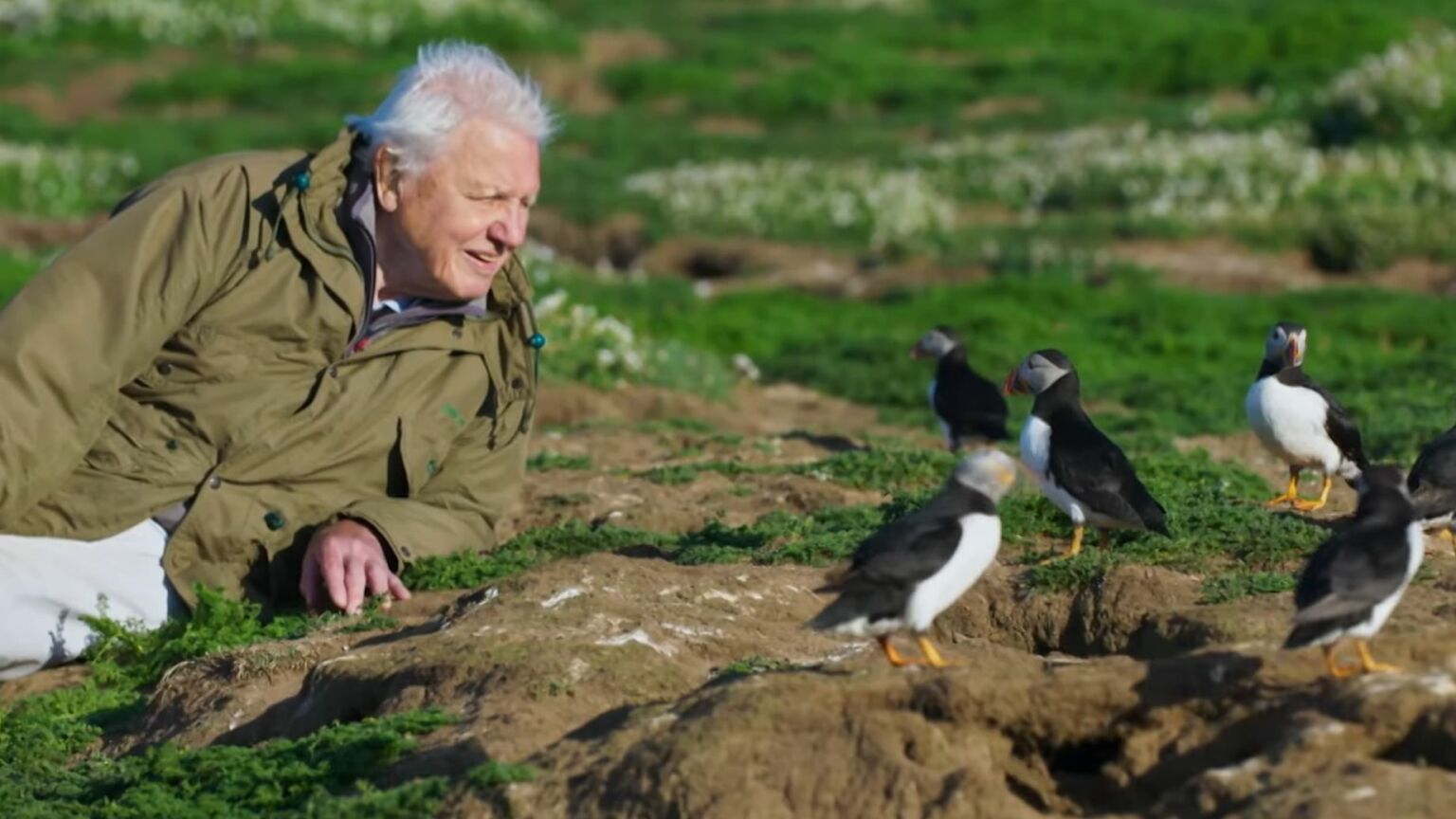 No, the BBC is not censoring David Attenborough