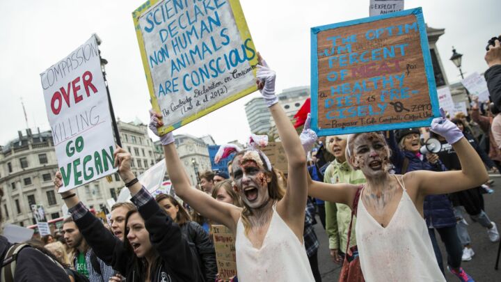 The cult of veganism