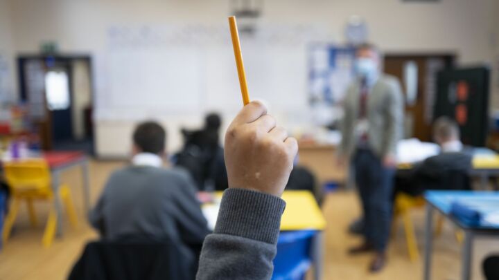 The curious case of the pupil who identifies as a cat