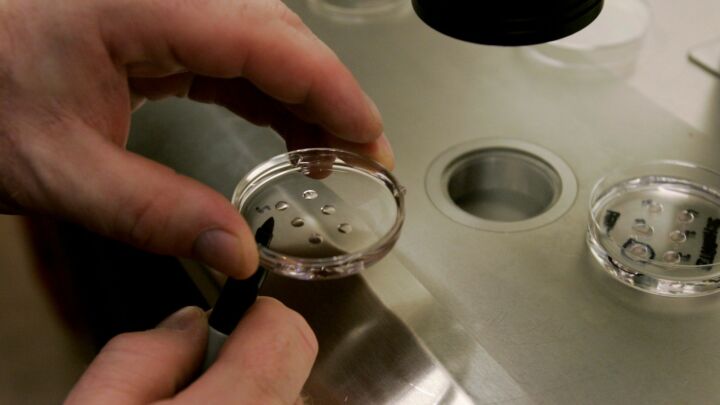 Unlocking the mystery of what makes us human