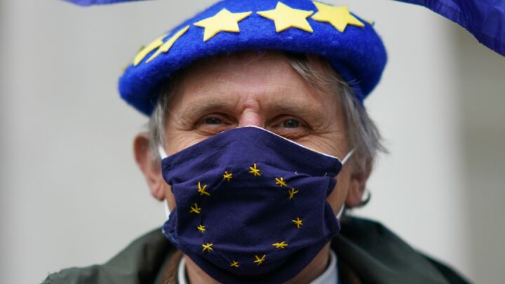 The Remoaner Covid inquiry