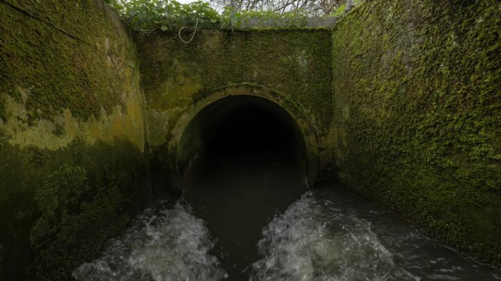 The green roots of the UK’s water crisis