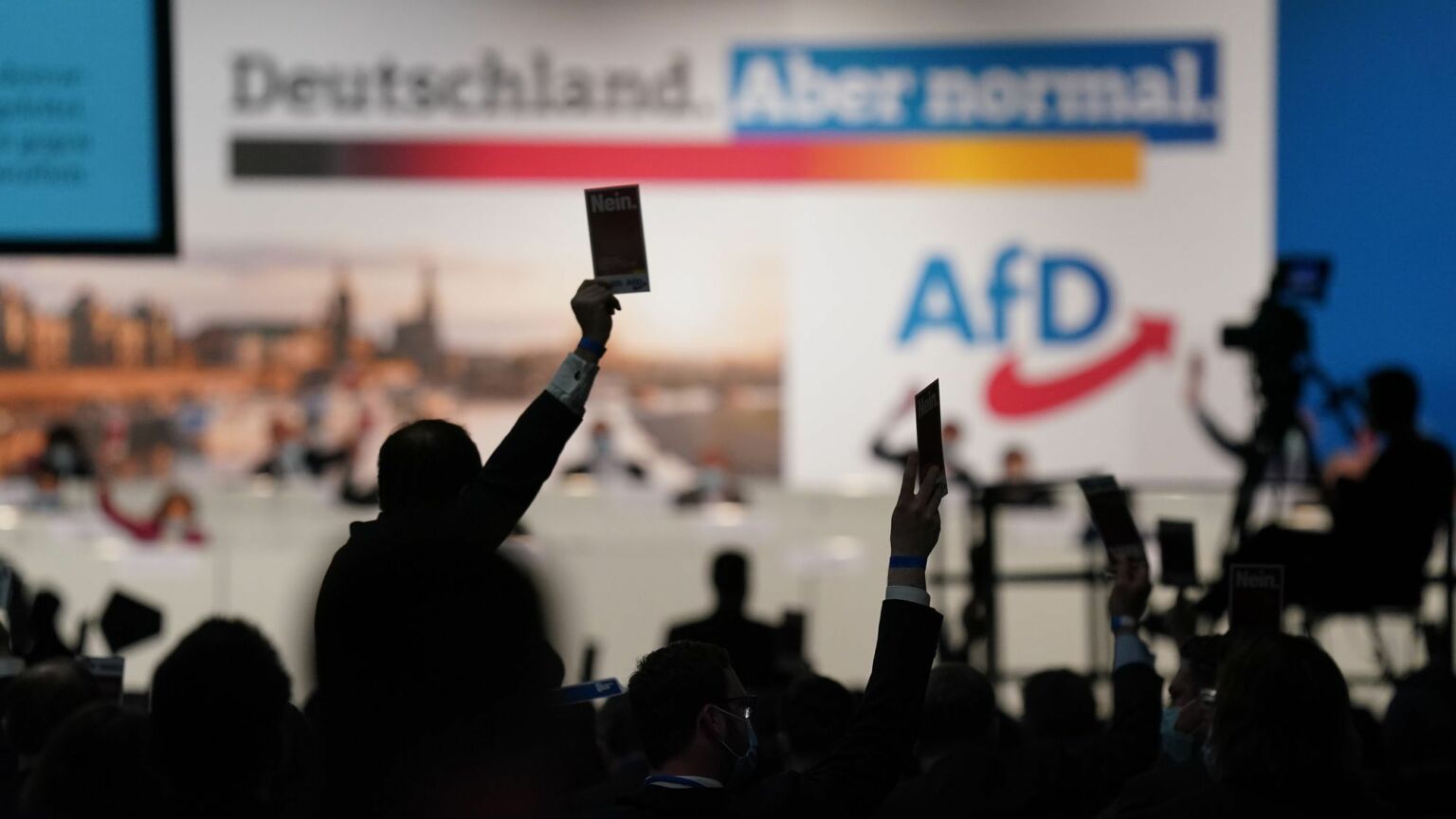 Banning the AfD would be a brutal assault on democracy