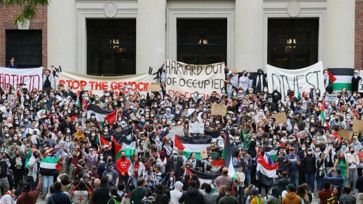 The racism of the intellectuals