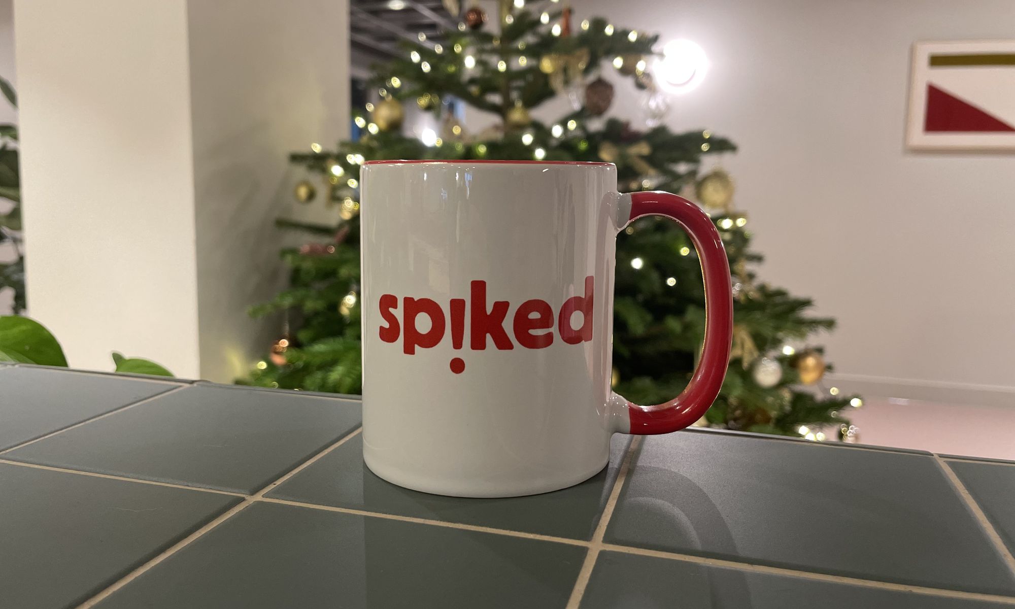 Spiked Mug Donation