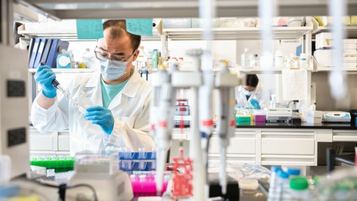 Afrochemistry? Identity politics is killing academia