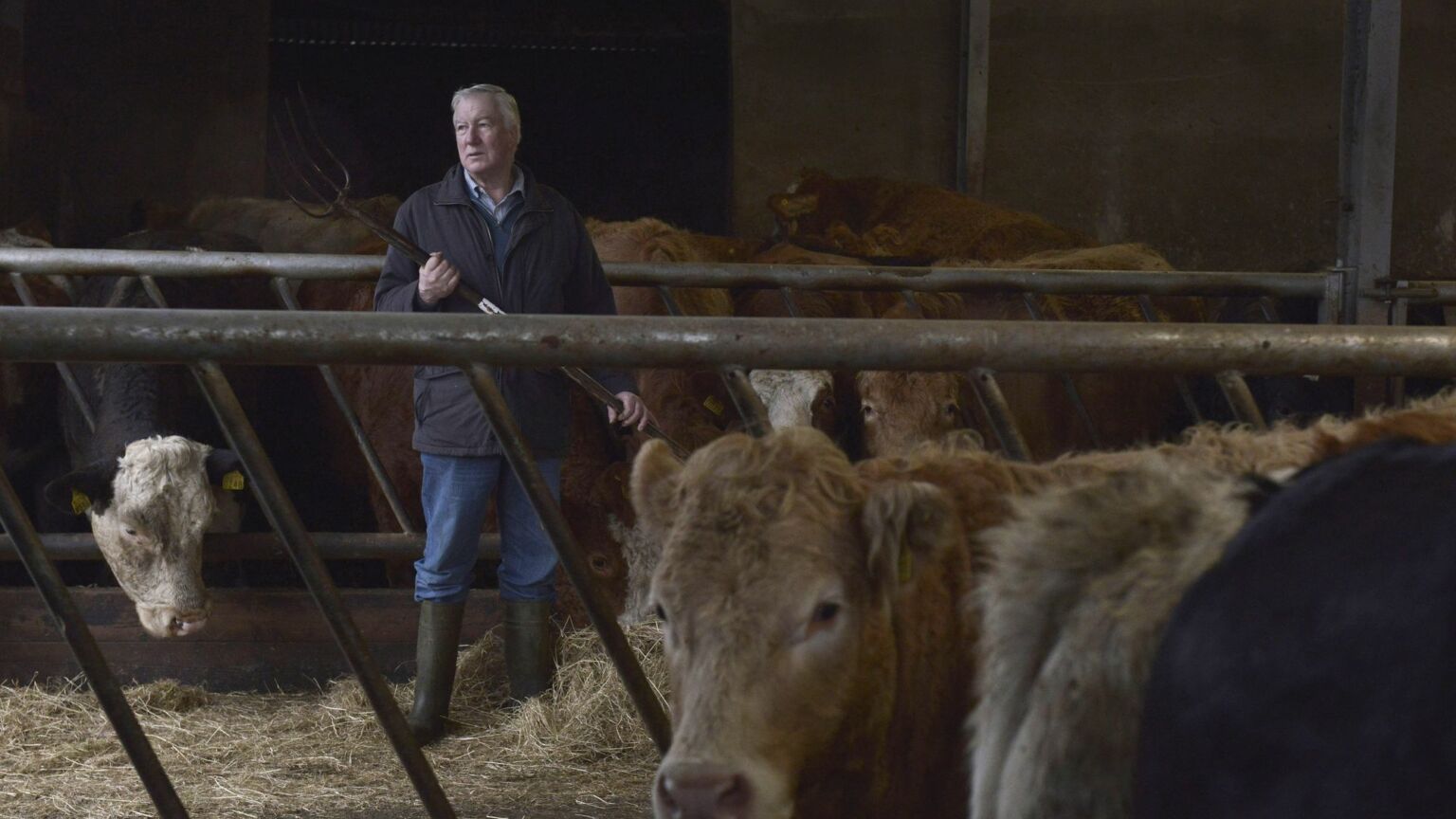 The fury of Ireland’s farmers