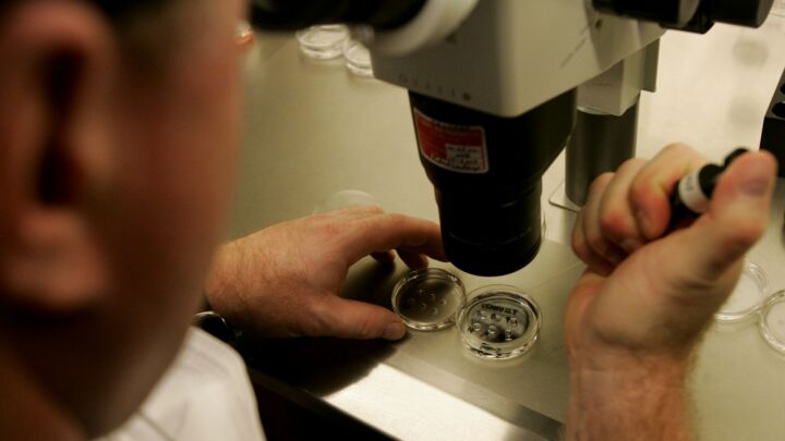 The war on reproductive freedoms has come for IVF