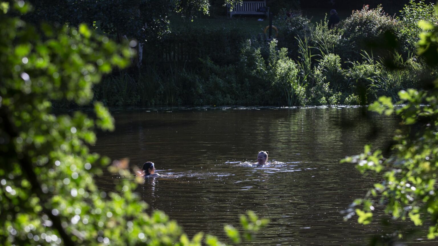 The battle for the Hampstead ladies’ pond