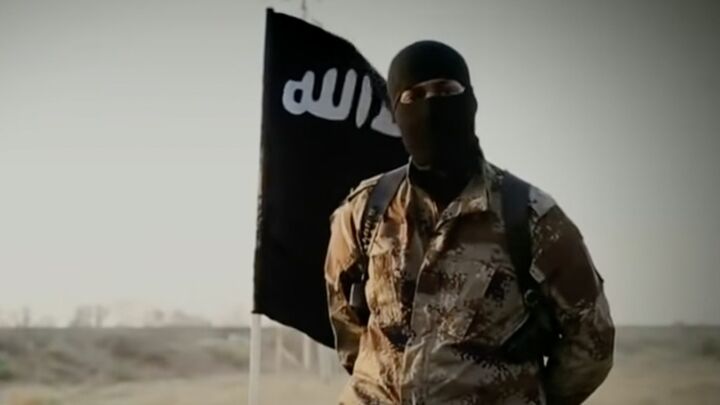 Bring ISIS fighters to Britain? The Blob has lost the plot